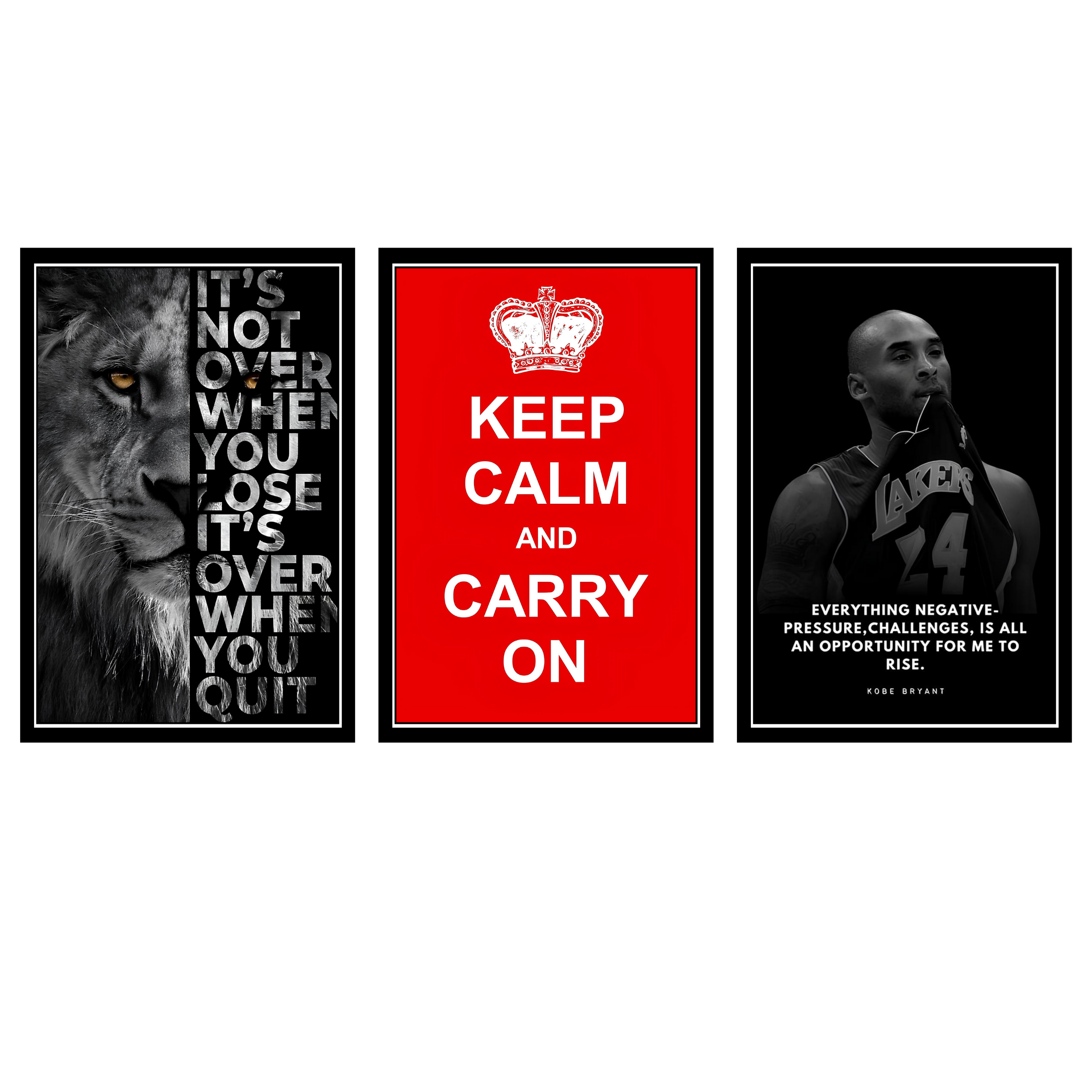 MOTIVITIONAL SET OF 3 FRAMES| PACK 2 | EACH FRAME "12X18" INCH