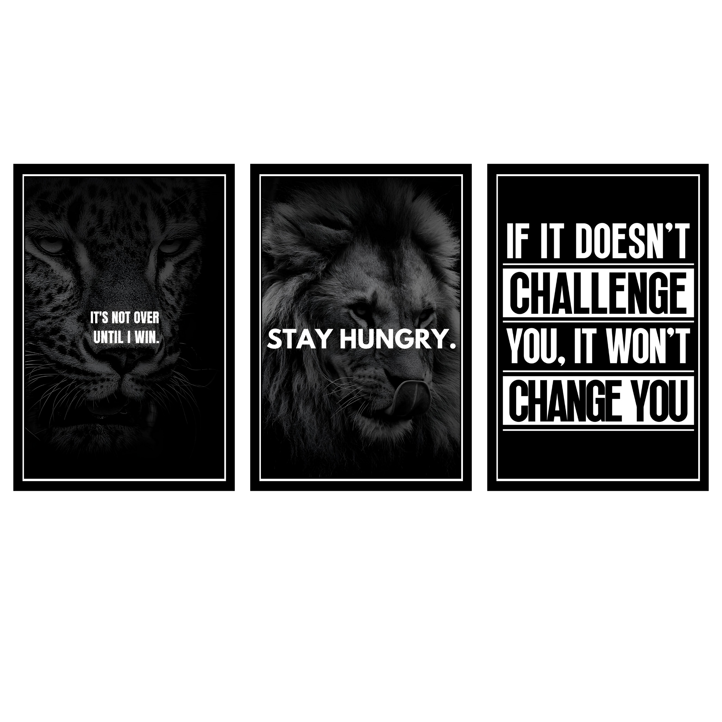 MOTIVITIONAL SET OF 3 FRAMES| PACK 13 | EACH FRAME "12X18" INCH