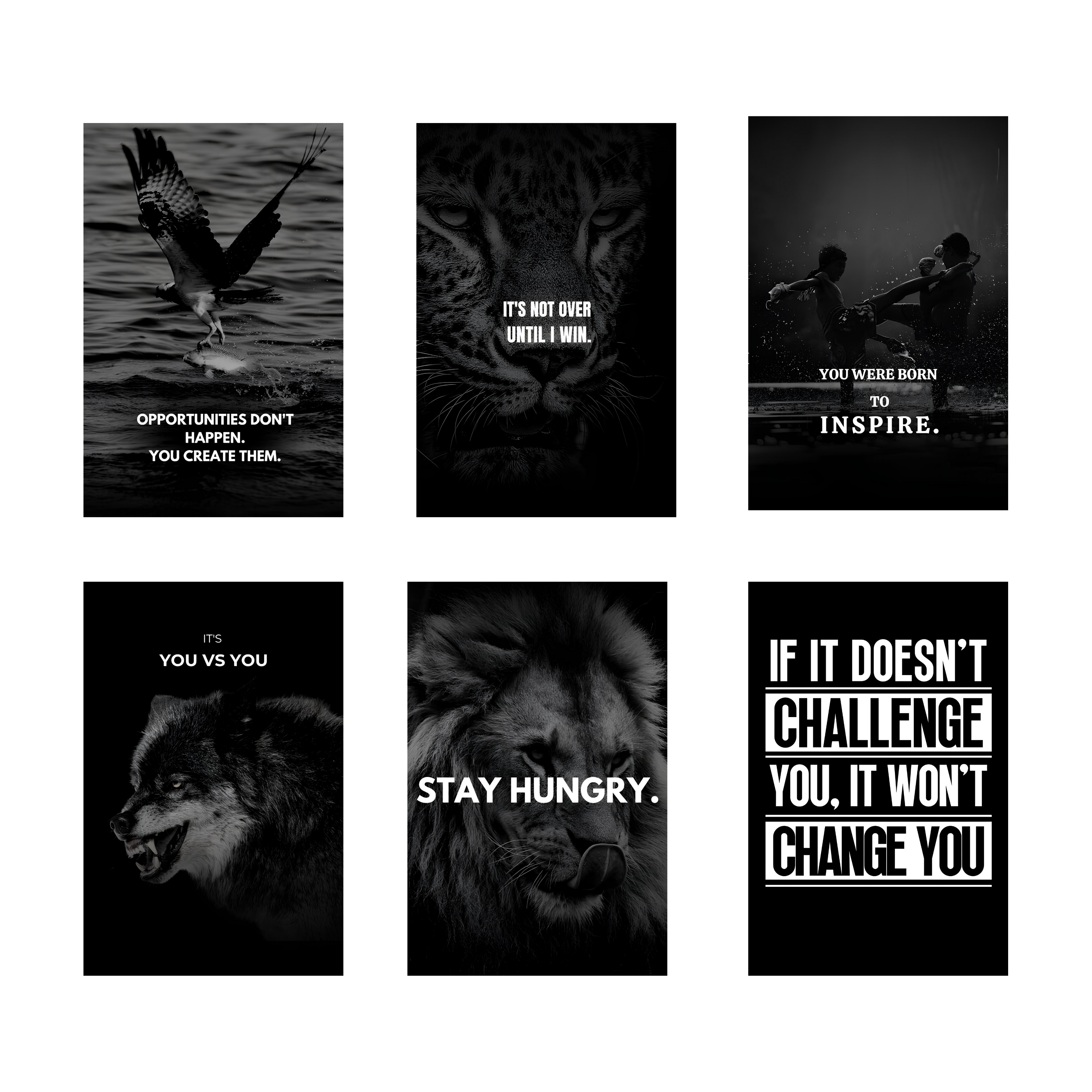 MOTIVATIONAL PACK OF 6 POSTERS SET 3